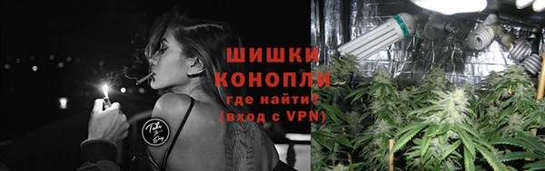 стаф Белая Холуница