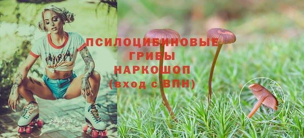 ECSTASY Михайловка